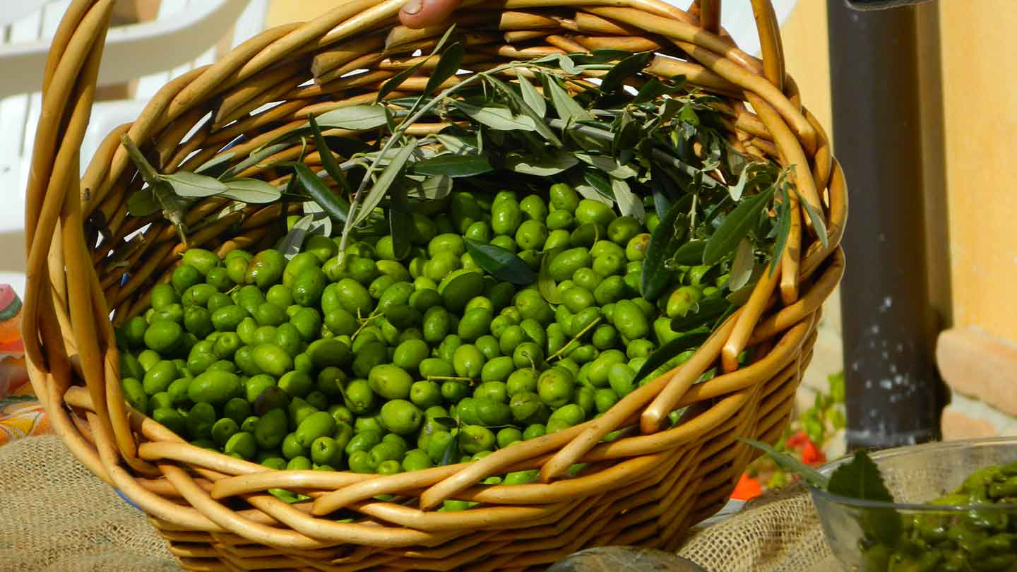 Salella