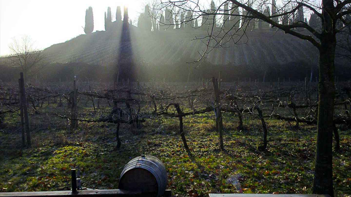 Ca' de Noci