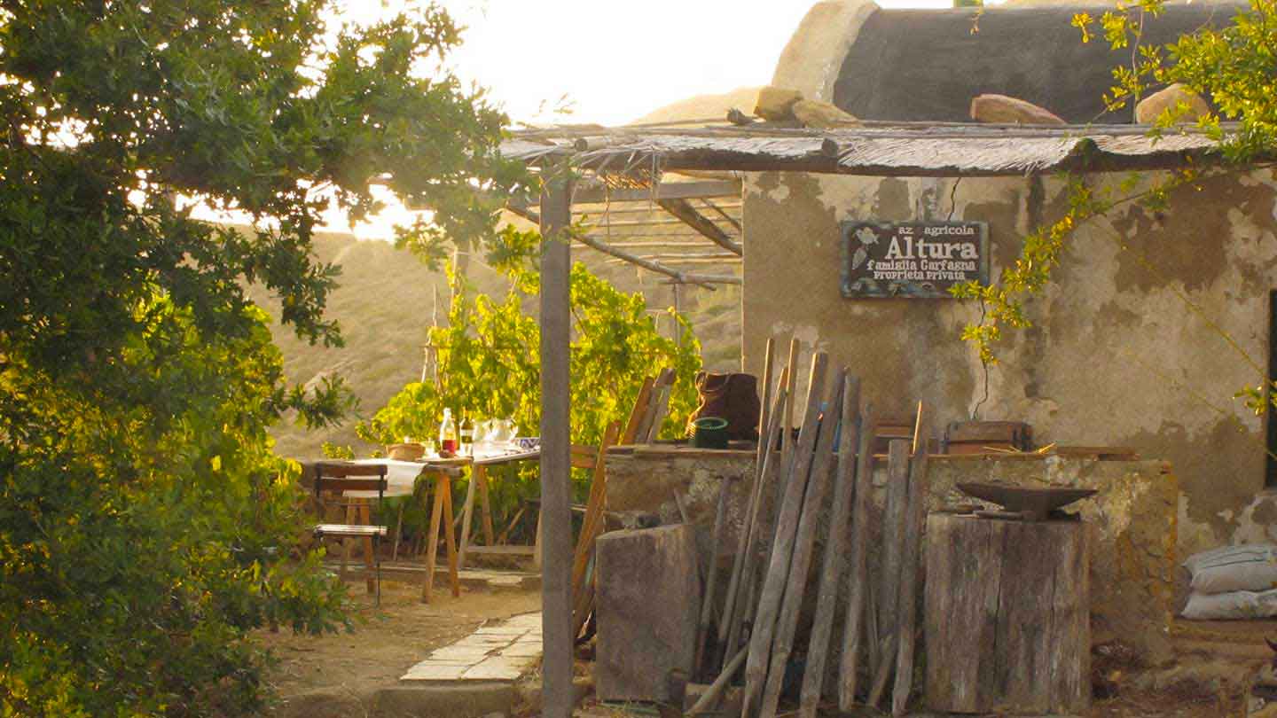 Altura Vigneto