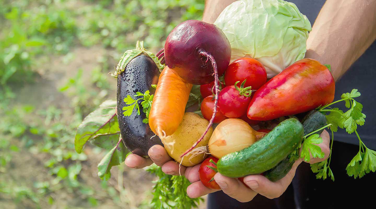 Verdure Biologiche: Cosa Sono e Perché Sceglierle