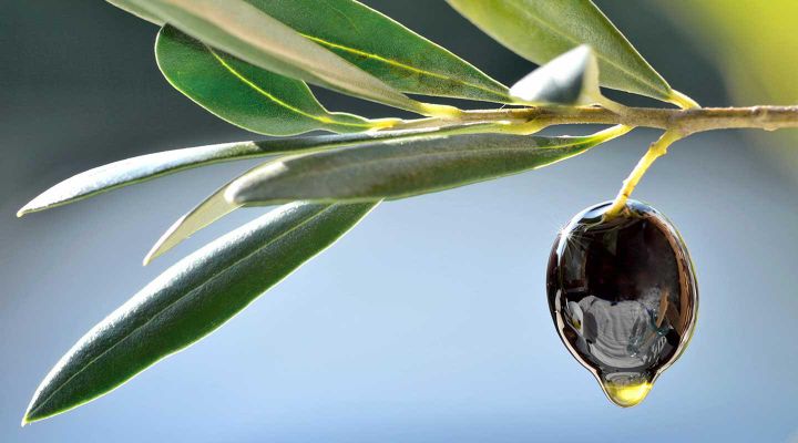 L'Olio Evo Venduto Online da Foodoteka